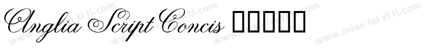Anglia Script Concis字体转换